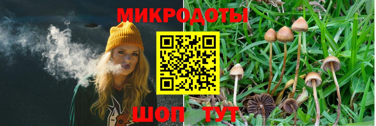 Псилоцибиновые грибы ЛСД  Вход с VPN  Казань  Галлюциногенные грибы мицелий 