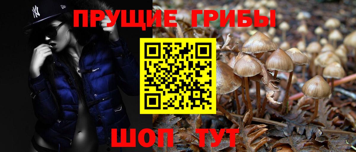 Галлюциногенные грибы мицелий Казань